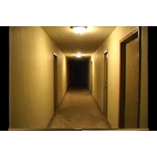 No-Clip